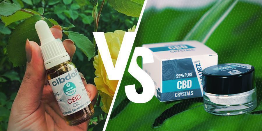 Vollspektrum-CBD vs. CBD-Isolat