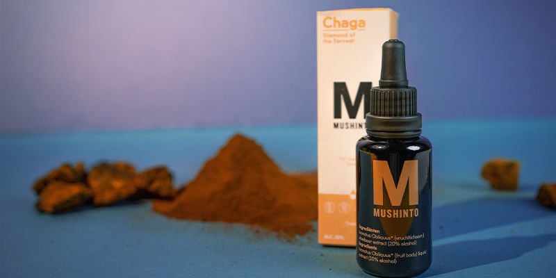 Chaga-Tinkturen