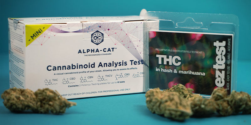 Wie testet man den THC- und CBD-Gehalt von Cannabisprodukten?