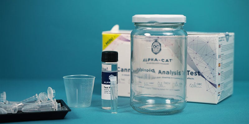 Testen mit dem Alpha-Cat Cannabinoid Test Mini Kit