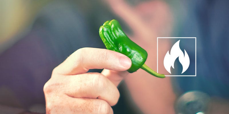 Wie Scharf Sind Jalapeños?