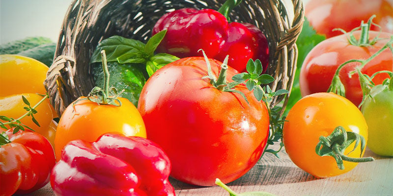 Kann Man Tomaten Und Chilipflanzen Zusammen Anbauen?