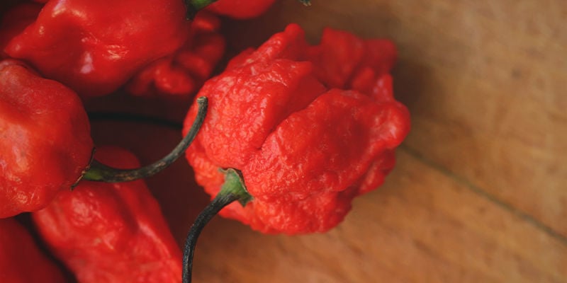 Bist Du Bereit Für Den Carolina Reaper?