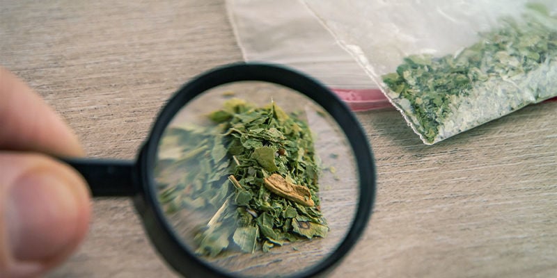 Saure, Decarboxylierte Und Synthetische Cannabinoide: Die Unterschiede Verstehen Lernen