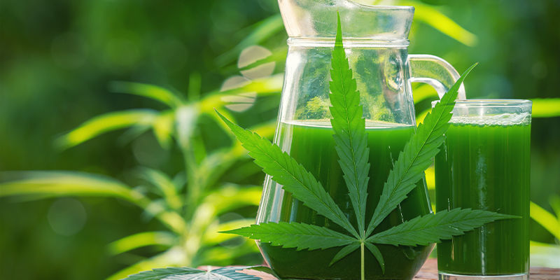 Was Ist Roher Cannabissaft?