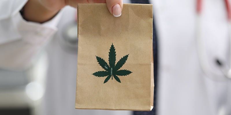 Trocknen von Cannabis in Papiertüten