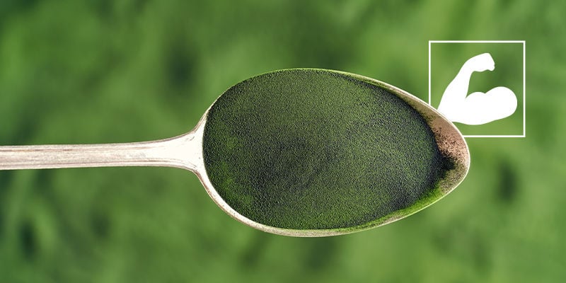 Welche Gesundheitlichen Nutzen Bietet Chlorella?