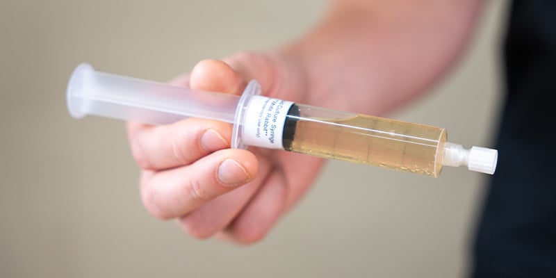 Schüttle die Flüssigkultur-Spritze, um das Myzel darin gleichmäßig zu verteilen