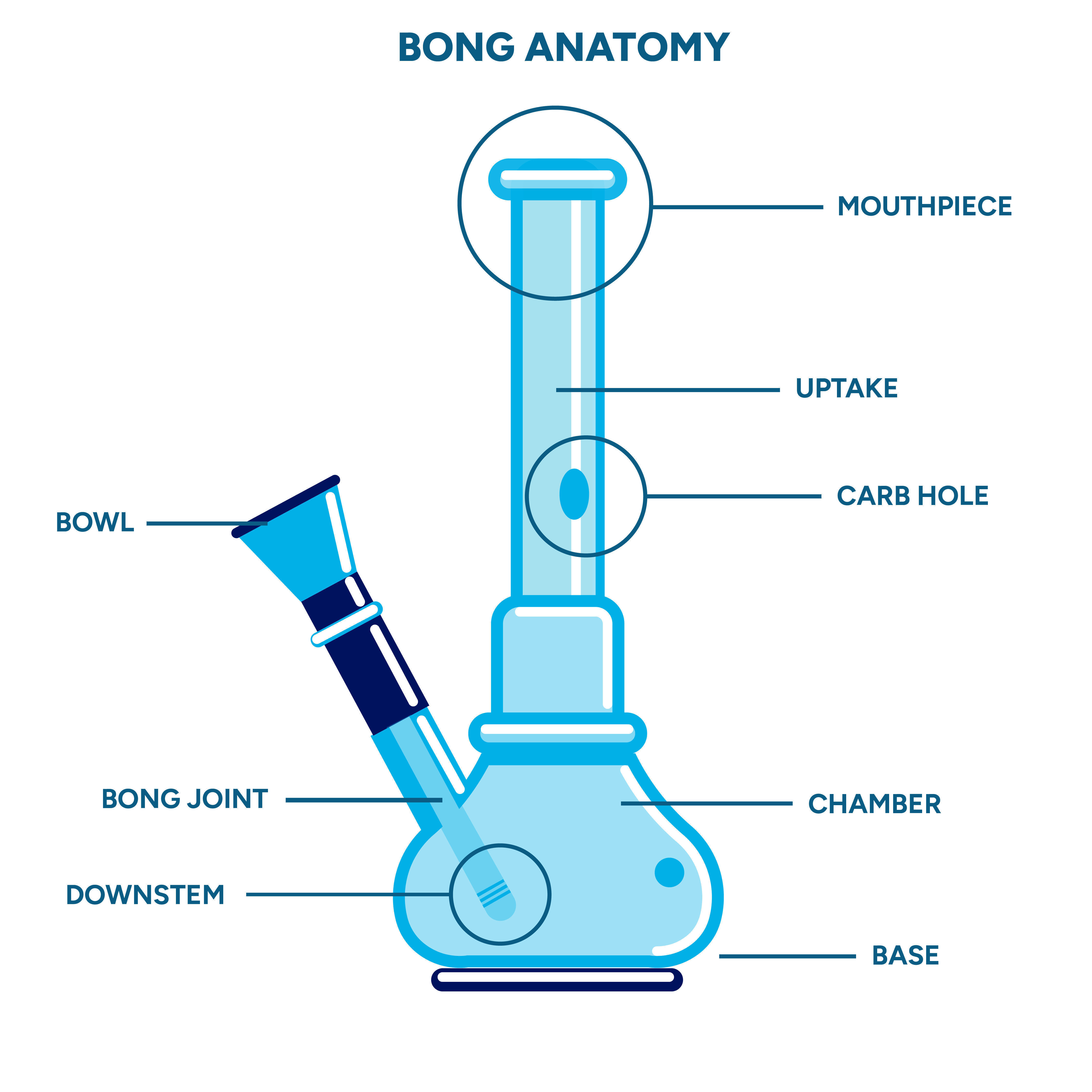 Anatomie einer Bong