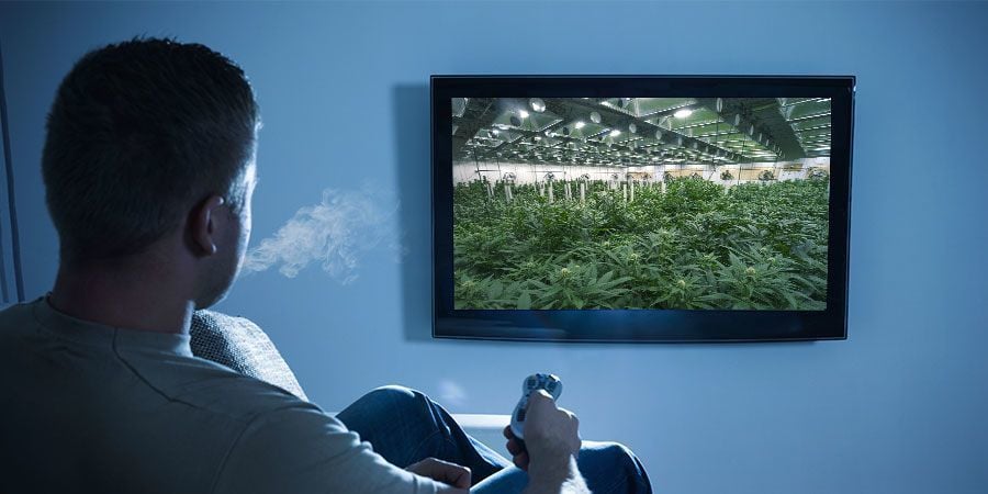 Pairing Weed With Documentaries