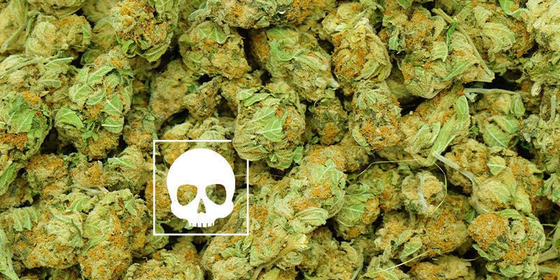 Wie Viel Cannabis Ist "Zu Viel"?