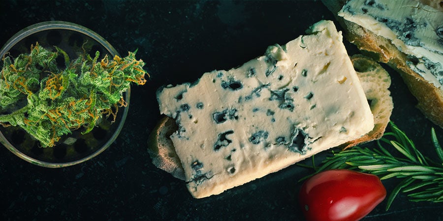 BLUE CHEESE: AROMA UND WIRKUNG