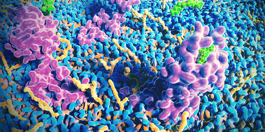 Das Endocannabinoid-System Der Haut DAS ENDOCANNABINOID-SYSTEM DER HAUT