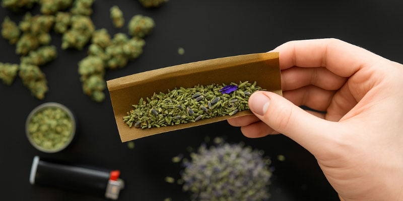 Lavendel Lavendel
