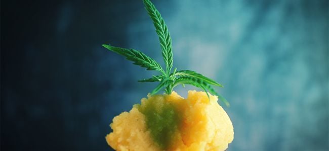 Cannabis Kartoffelpüree