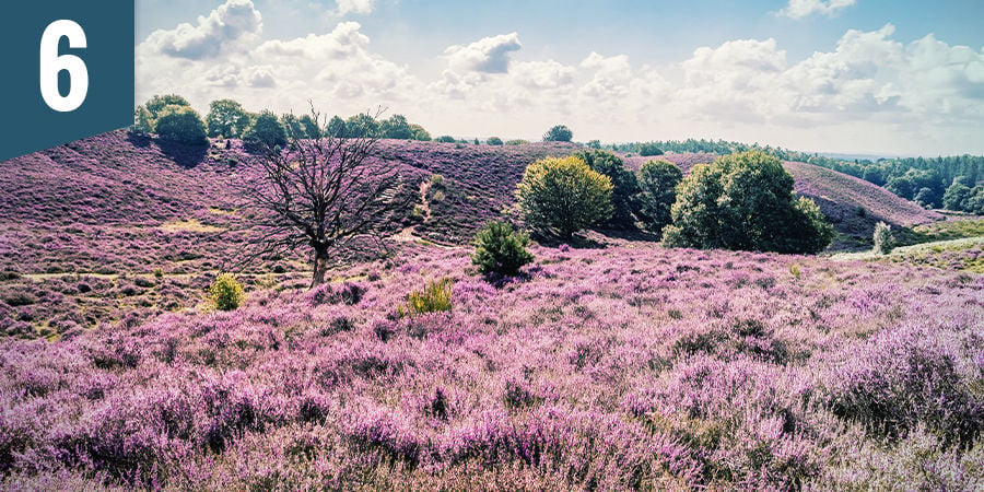 Verliere dich in einer Panoramaaussicht