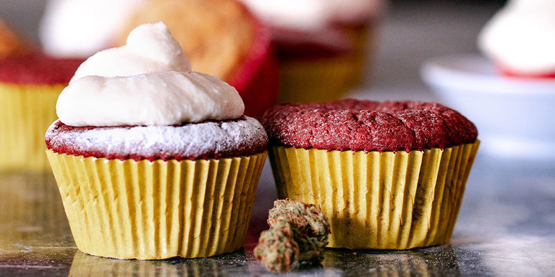 Rezept für Schokoladen Cannabis Cupcakes