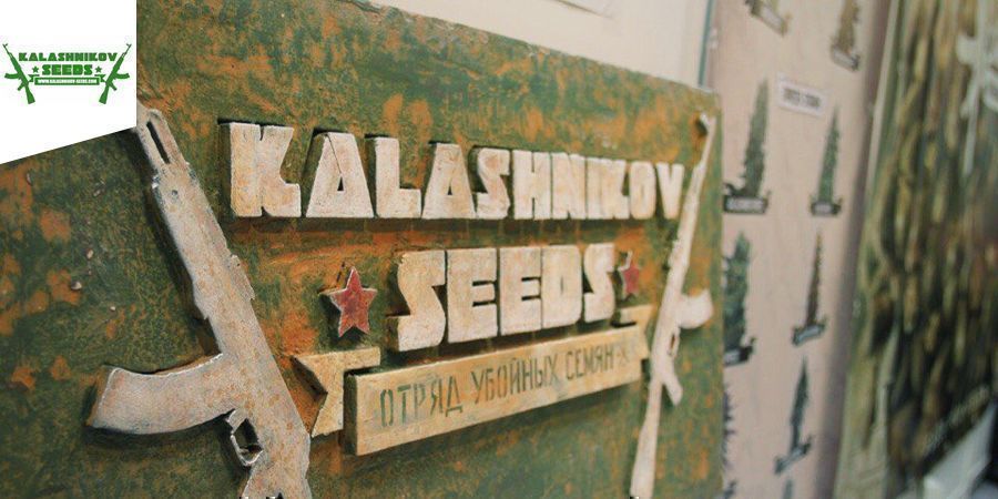 Kalashnikov Seeds