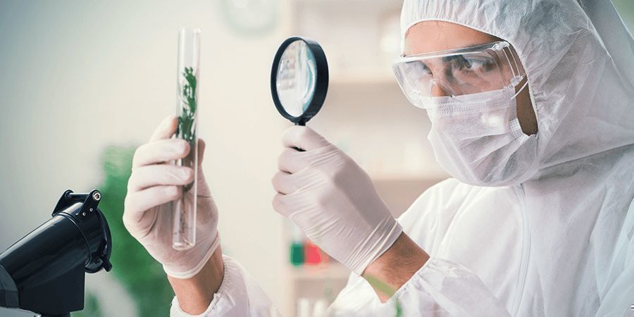 ARBEITEN IN DER CANNABISBRANCHE