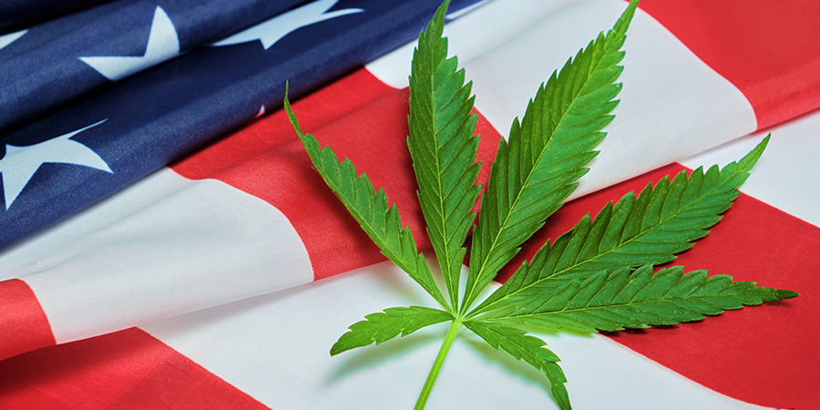 Wie Groß Ist Die Cannabisbranche In Den USA?