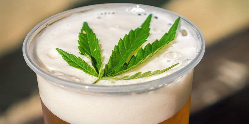 Cannabisbier