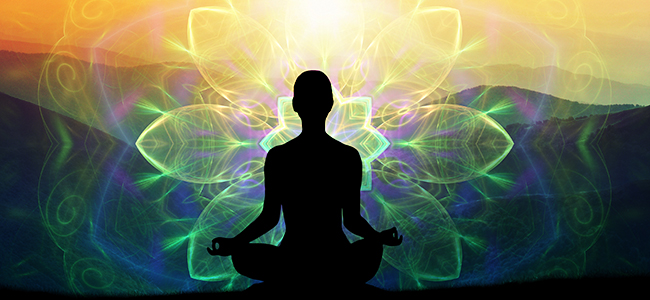 Meditieren Mit Ayahuasca Meditieren Mit Ayahuasca