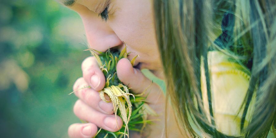  Gründe Den Tabak Wegzulassen: Dein Geschmacks- Und Geruchssinn