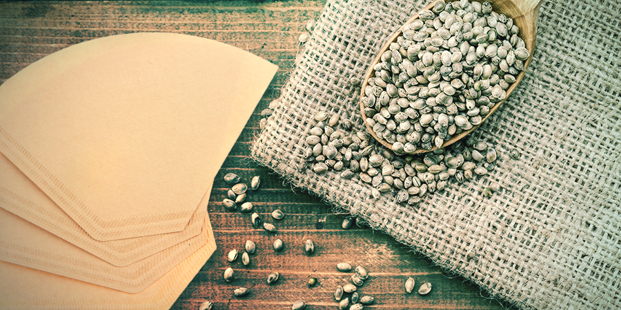 Kaffeefilter Keimung Deiner Cannabisamen: Kaffeefilter