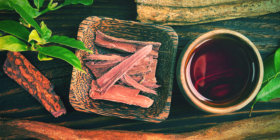 Ayahuasca-Verwendung Ayahuasca-Verwendung
