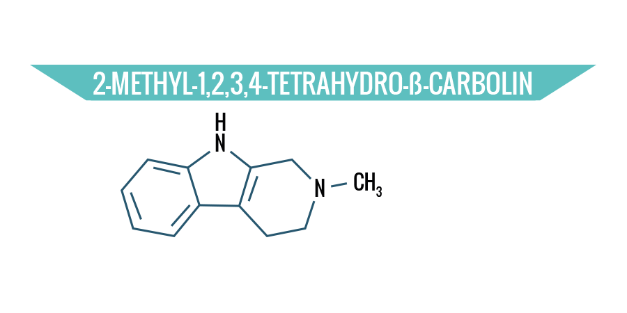 2-methyl-1,2,3,4-tetrahydro-ß-carbolin 2-methyl-1,2,3,4-tetrahydro-ß-carbolin