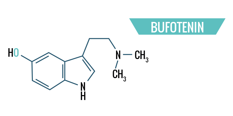 Bufotenin Bufotenin