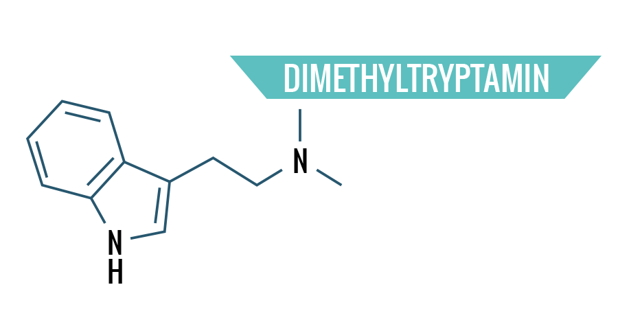 Dimethyltryptamin Dimethyltryptamin
