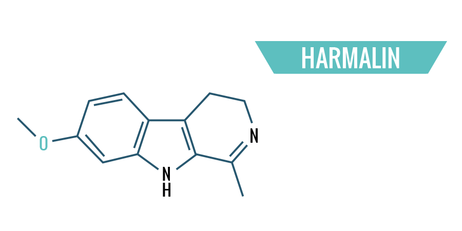 Harmalin Harmalin