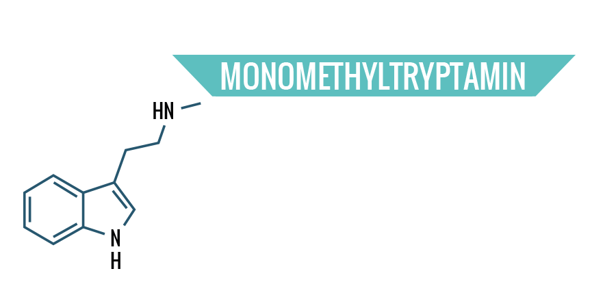 Monomethyltryptamin Monomethyltryptamin