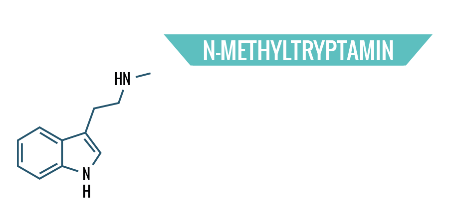 N-Methyltryptamin N-Methyltryptamin