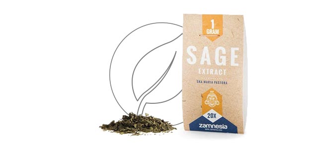 SALVIA EXTRAKT 20X (1 GRAMM)