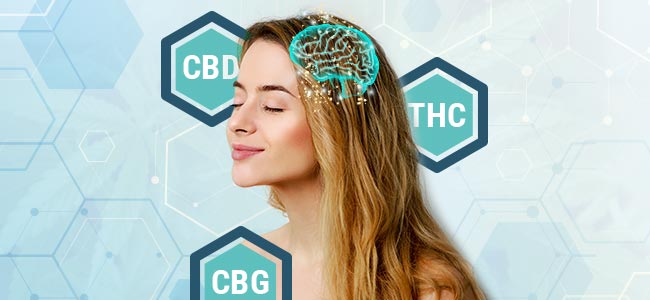Cannabinoide Cannabinoide