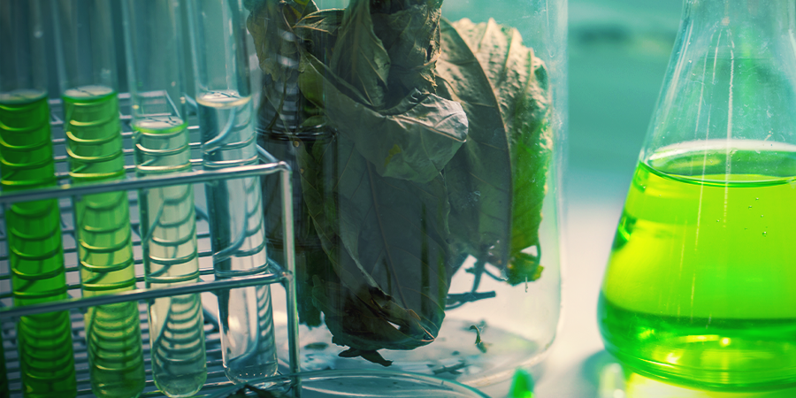 Kratom Chemie Kratom Chemie