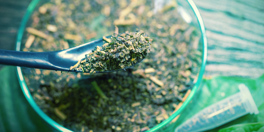 Weitere Maßnahmen Gegen Kratom Und Verwandte Substanzen Weitere Maßnahmen Gegen Kratom Und Verwandte Substanzen