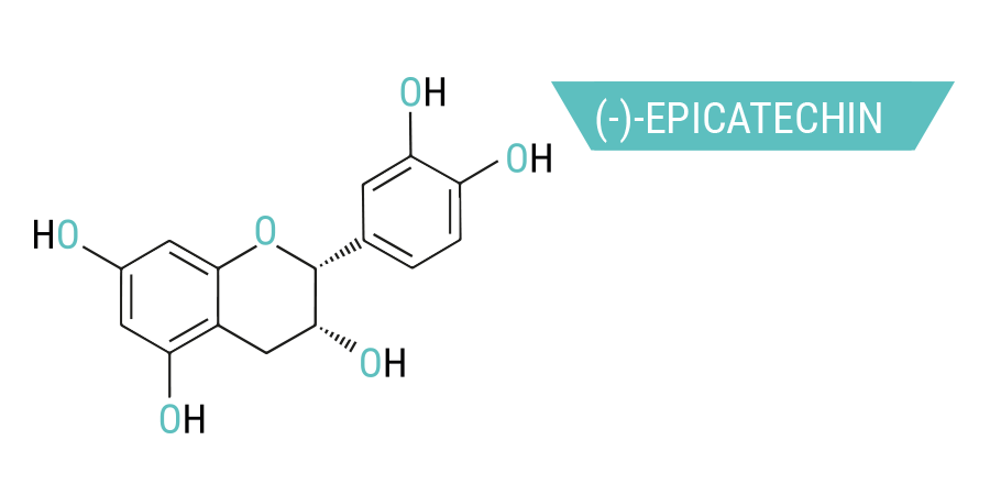 Epicatechin Kratom_Epicatechin