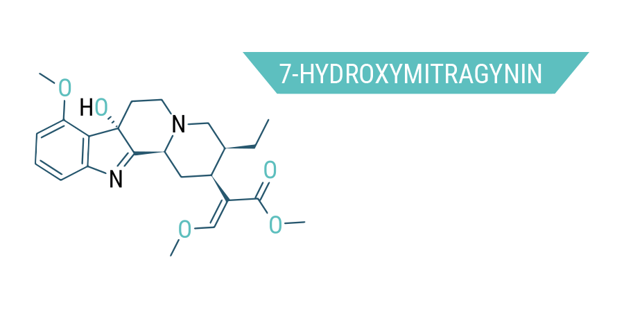 7-Hydroxymitragynine Kratom_7-Hydroxymitragynine