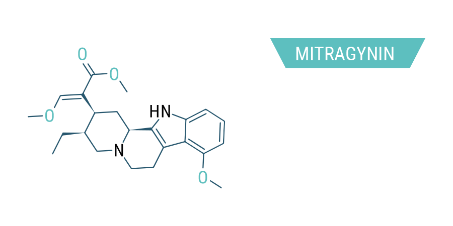 Mitragynine Kratom_Mitragynine