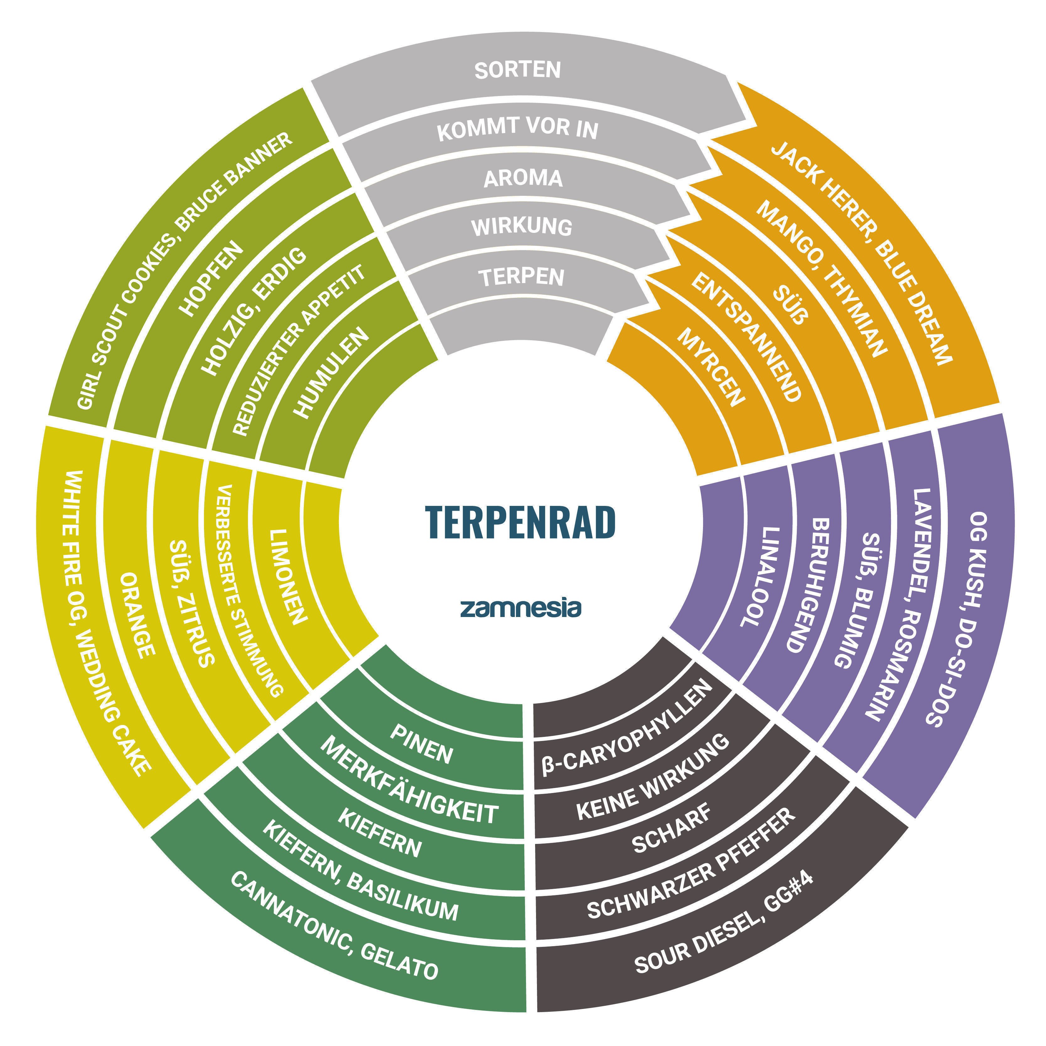 Terpenrad