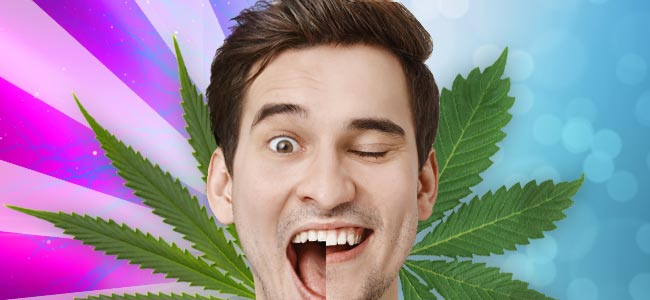 Sativa vs. Indica: Wirkungen