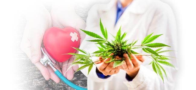Was bewirkt CBD?