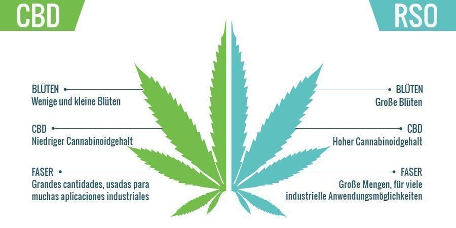 CBD vs RSO