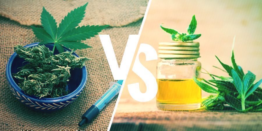 CBD Öl vs Rick Simpson Öl