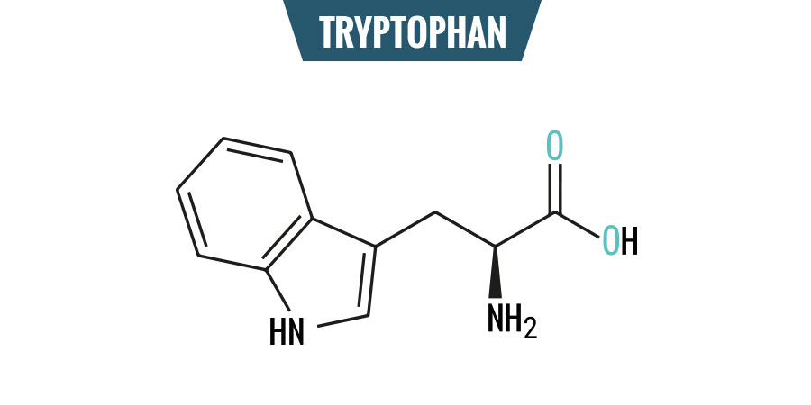 Tryptophan TRYPTOPHAN