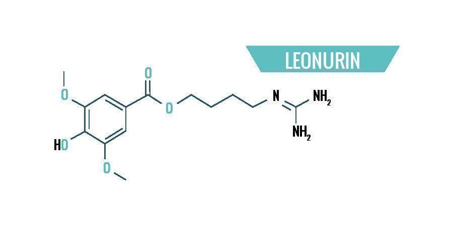 Leonotis Leonurus Chemie