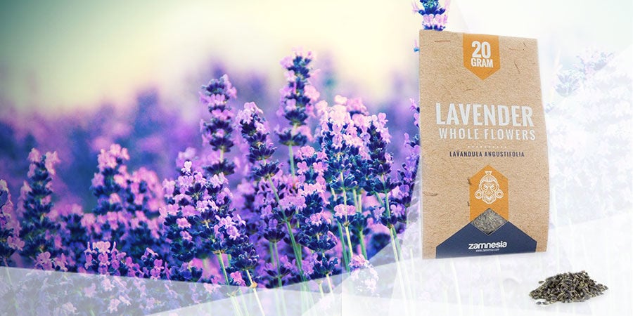 LAVENDEL